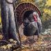 David Connell - Facebook