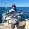 David Connelly - LinkedIn