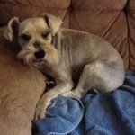 David Conover - @daytonadawg - Instagram