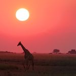 David Conover - @conoverdave - Instagram