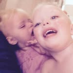 Cookie - @davidcookson001 - Instagram