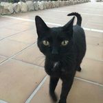 David Cookson - @cookson3176 - Instagram