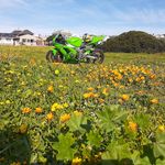David Cookson - @davecookson01 - Instagram