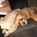 David Cookson - Facebook