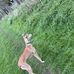David Cookson - Facebook
