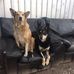 David Coombe - Facebook