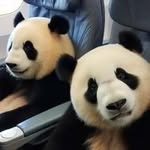 David Coons - @coons332416 - Instagram