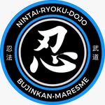 David Coppola - @bujinkan.nintai.ryoku.dojo - Instagram