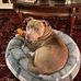 David Coppola - Facebook