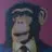 David Cormack - @cormacdaddy - TikTok