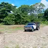 David Coronel - @david.coronel263 - TikTok