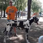 david corsi - @corsi172 - Instagram