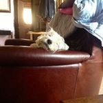 David Corsi - @occhiofermo - Instagram