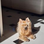 David Corsi - @davidcorsi66 - Instagram
