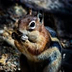 David Corso - @david_corso__ - Instagram