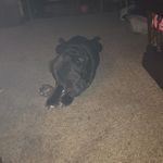 David Corum - @david.corum.357 - Instagram
