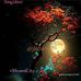 David Cosan - Facebook