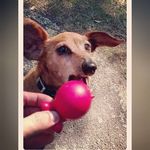 David Cosper - @cosdaja - Instagram