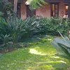David Cos Suruy - @david.cos.suruy4 - TikTok