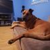 David-Jo Cossette - Facebook