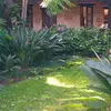 David Cos Suruy - @david.cos.suruy4 - TikTok