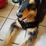 David Coste - @davidrcoste - Instagram