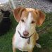 David Costlow - Facebook