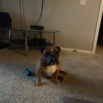 David Cotham - @dcotham1228 - Instagram