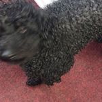 David Cotterill - @david.cotterill.71271 - Instagram