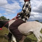 David Cotto - @david.cotto.9440 - Instagram