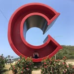 David Cotto - @cotto8973 - Instagram