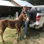 David Cottongin - @davidcottongin - Instagram