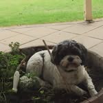 David Coughlin - @coughlin.david - Instagram