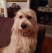 David Coughlin - Facebook