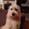David Coughlin - @david.coughlin7 - TikTok