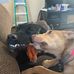 David Coughlin - Facebook