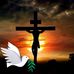 David Counts - Facebook
