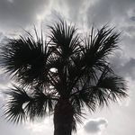 David Coutu - @go4itprecious - Instagram