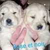 davidcouture192 - @davidcouture192 - TikTok