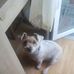 David Couturier - Facebook