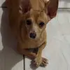 David Cova - @davidcova_ - TikTok