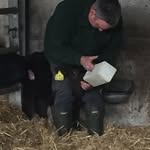 David Coward - @david.coward - Instagram