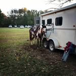 David Coward - @cowarddavid - Instagram