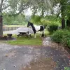 SuperDaveOnHisHighHorse - @davidcoward87 - TikTok