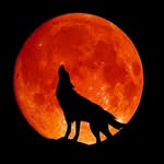 David Cowden - @davidcowden81 - Instagram