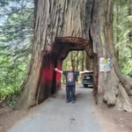 David Cowden - @homie.cowden - Instagram