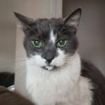 Jon David Cowden - @jonnyshereer - Instagram