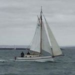 David Coyle - @nymphaea_c1946 - Instagram