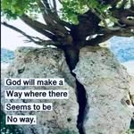 David Crabb - @davidcrabb56 - Instagram
