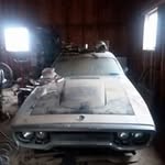 David Bruce Crace - @davidbrucecrace - Instagram